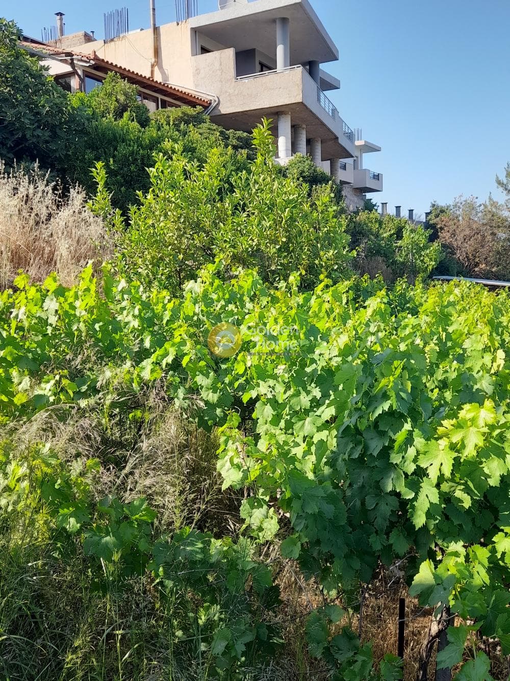 Οικόπεδο στην Επάνω Αρχάνες, Αρχάνες — Φωτογραφία 4 από 4