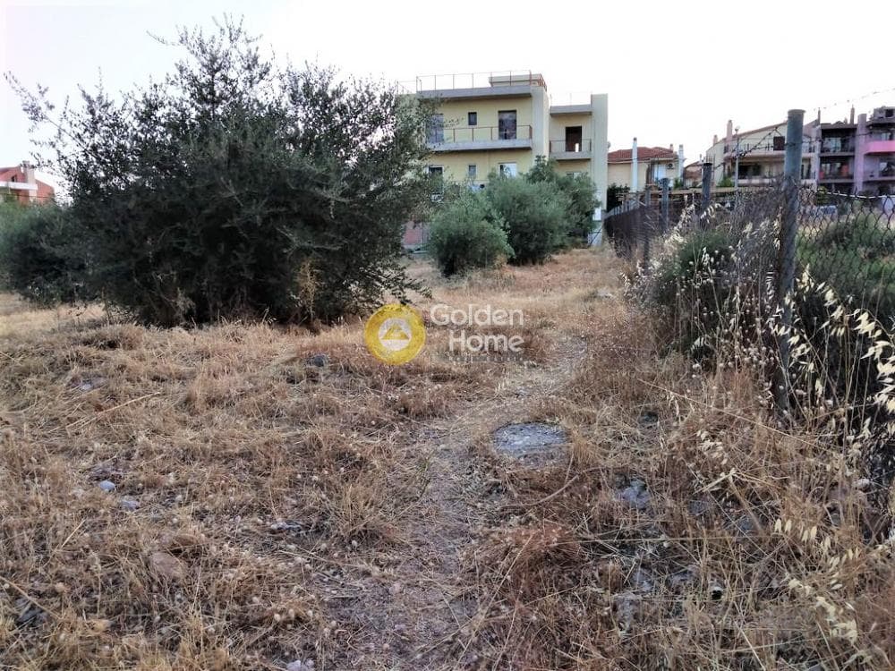 Building Plot in Megala Sxoinia A, Acharnes — Photo 4 of 10