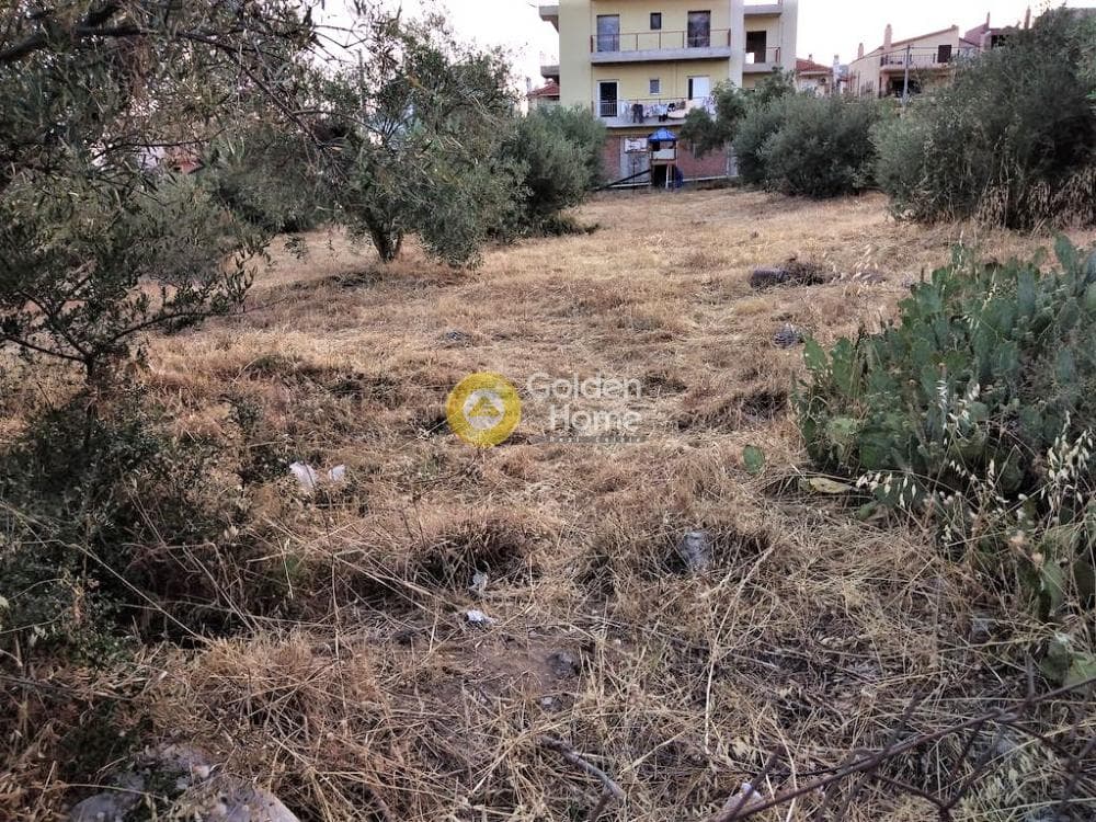 Building Plot in Megala Sxoinia A, Acharnes — Photo 7 of 10