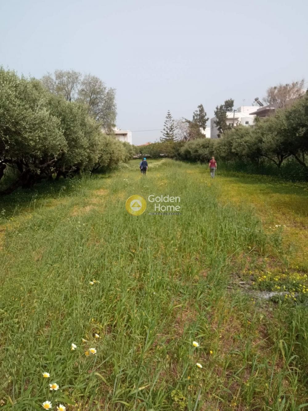 Οικόπεδο στην Κάτω Γούβες, Γούβες — Φωτογραφία 7 από 14