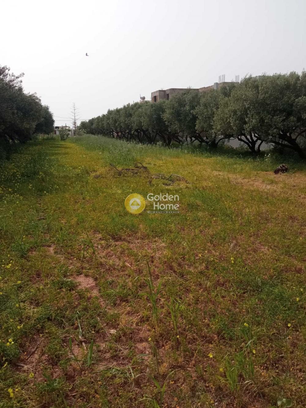 Οικόπεδο στην Κάτω Γούβες, Γούβες — Φωτογραφία 8 από 14