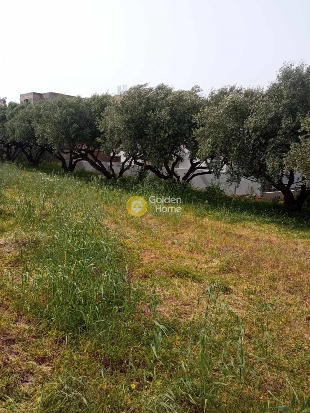 Οικόπεδο στην Κάτω Γούβες, Γούβες — Φωτογραφία 12 από 14
