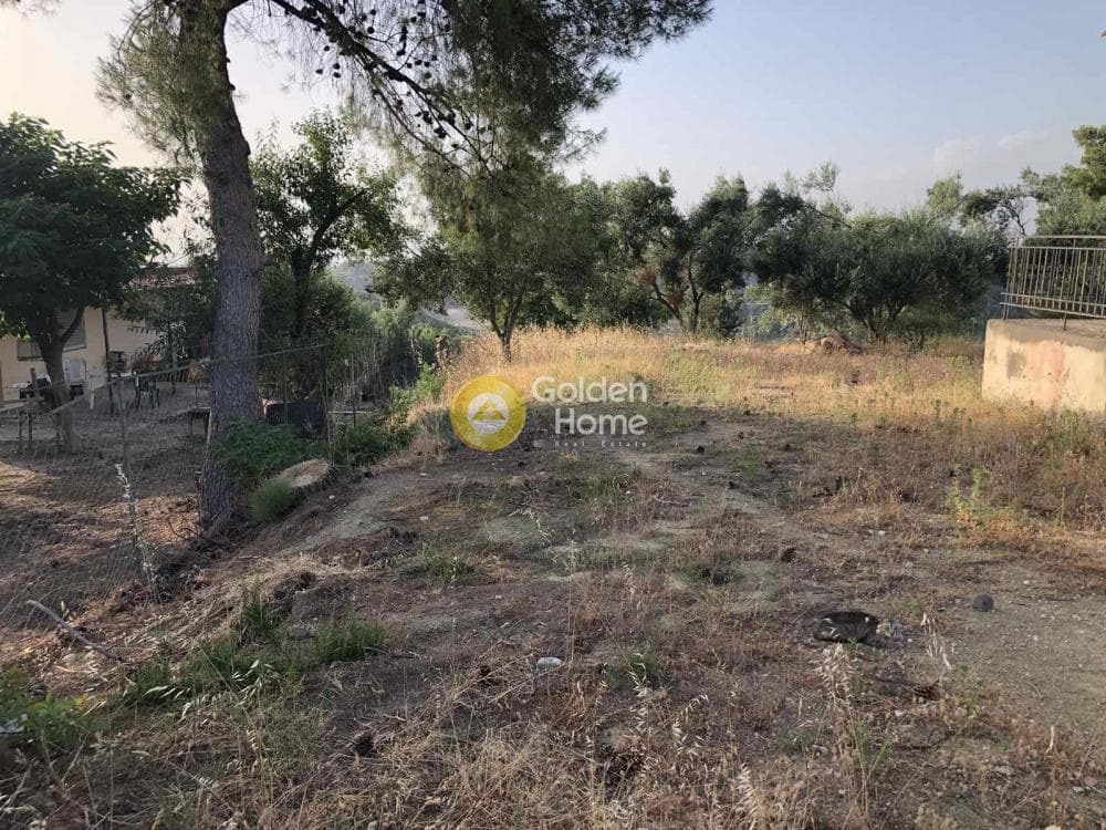 Μονοκατοικία στην Θέα, Μεσσατίδα — Φωτογραφία 18 από 20