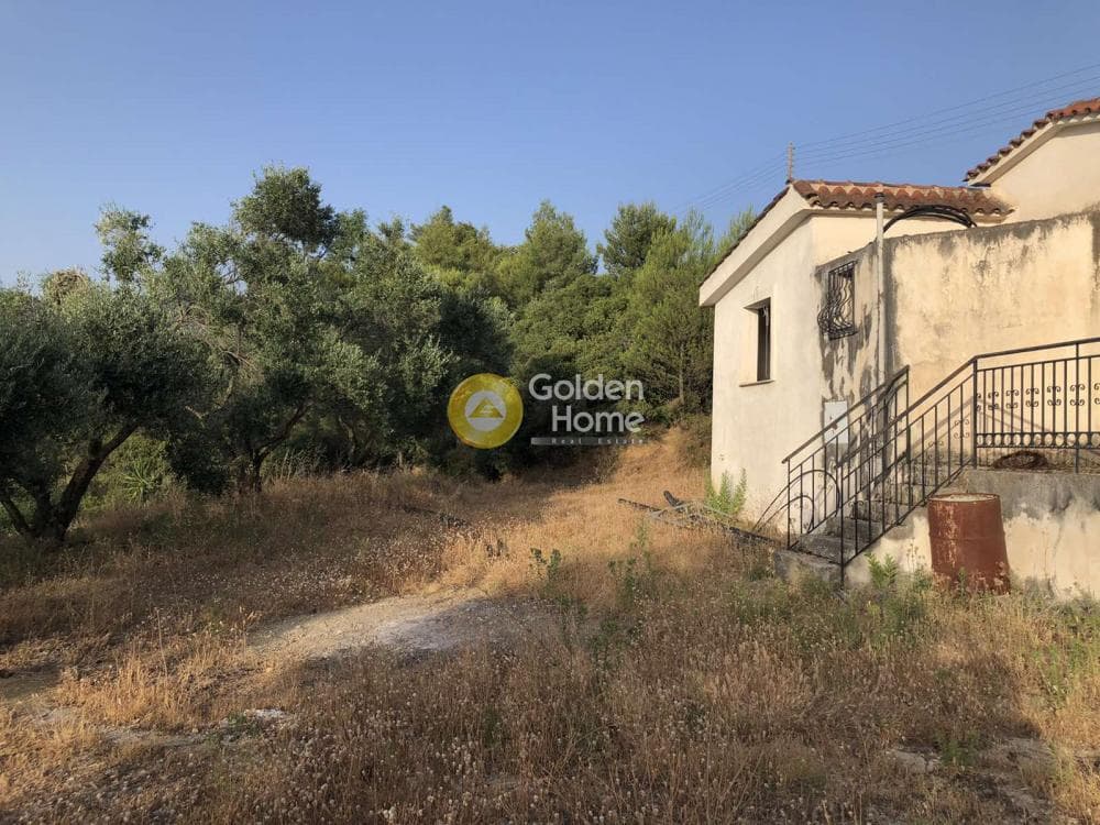 Μονοκατοικία στην Θέα, Μεσσατίδα — Φωτογραφία 4 από 20