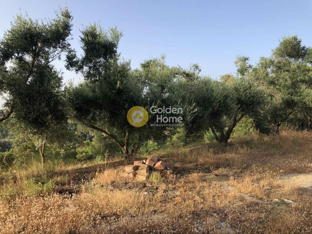 Μονοκατοικία στην Θέα, Μεσσατίδα — Φωτογραφία 19 από 20