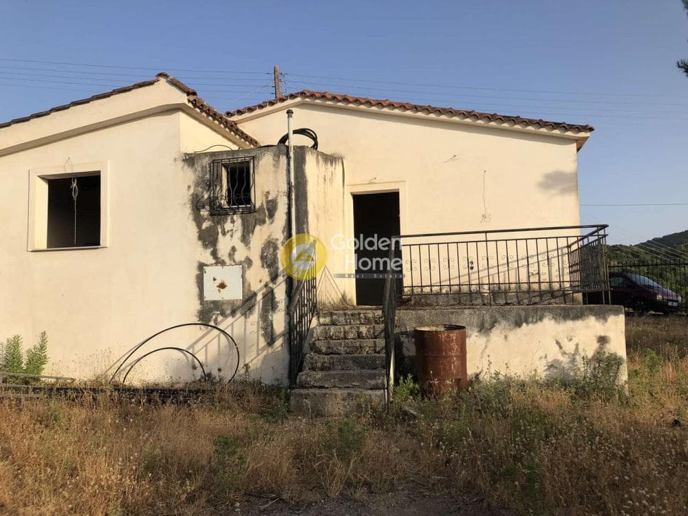 Μονοκατοικία στην Θέα, Μεσσατίδα — Φωτογραφία 5 από 20