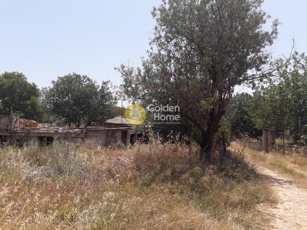 Building Plot in Lamprika, Koropi — Photo 3 of 8