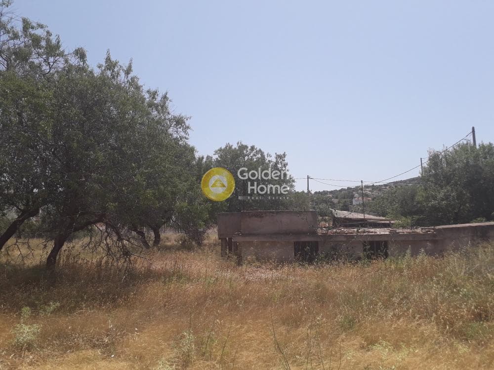 Building Plot in Lamprika, Koropi — Photo 4 of 8