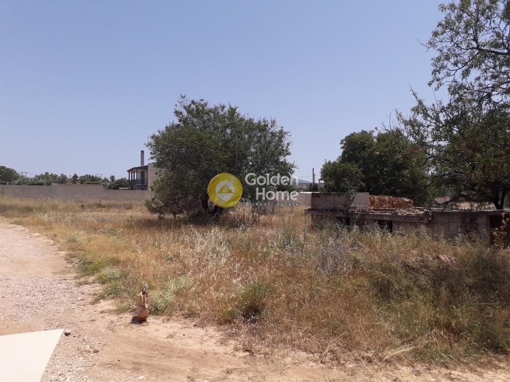 Building Plot in Lamprika, Koropi — Photo 5 of 8