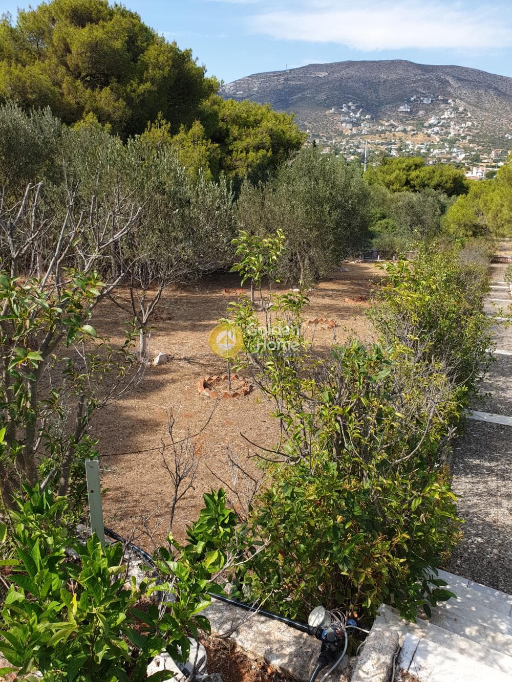 House in Paralia, Anavissos — Photo 3 of 8