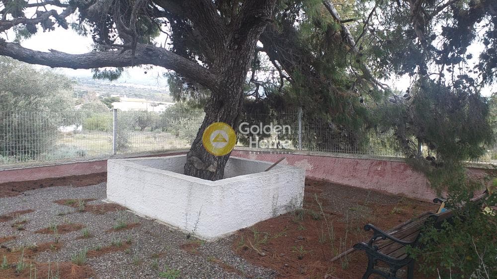 House in Paralia, Anavissos — Photo 8 of 8