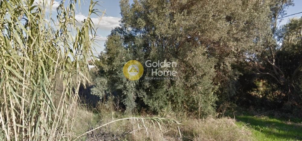 Οικόπεδο στην Κέντρο, Πικέρμι