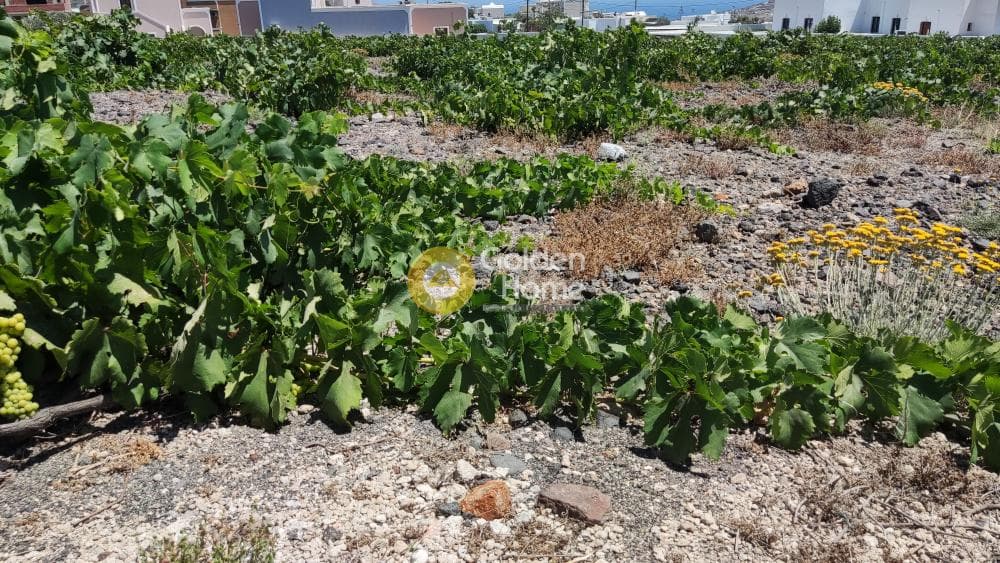 Οικόπεδο στην Κέντρο, Σαντορίνη — Φωτογραφία 3 από 3