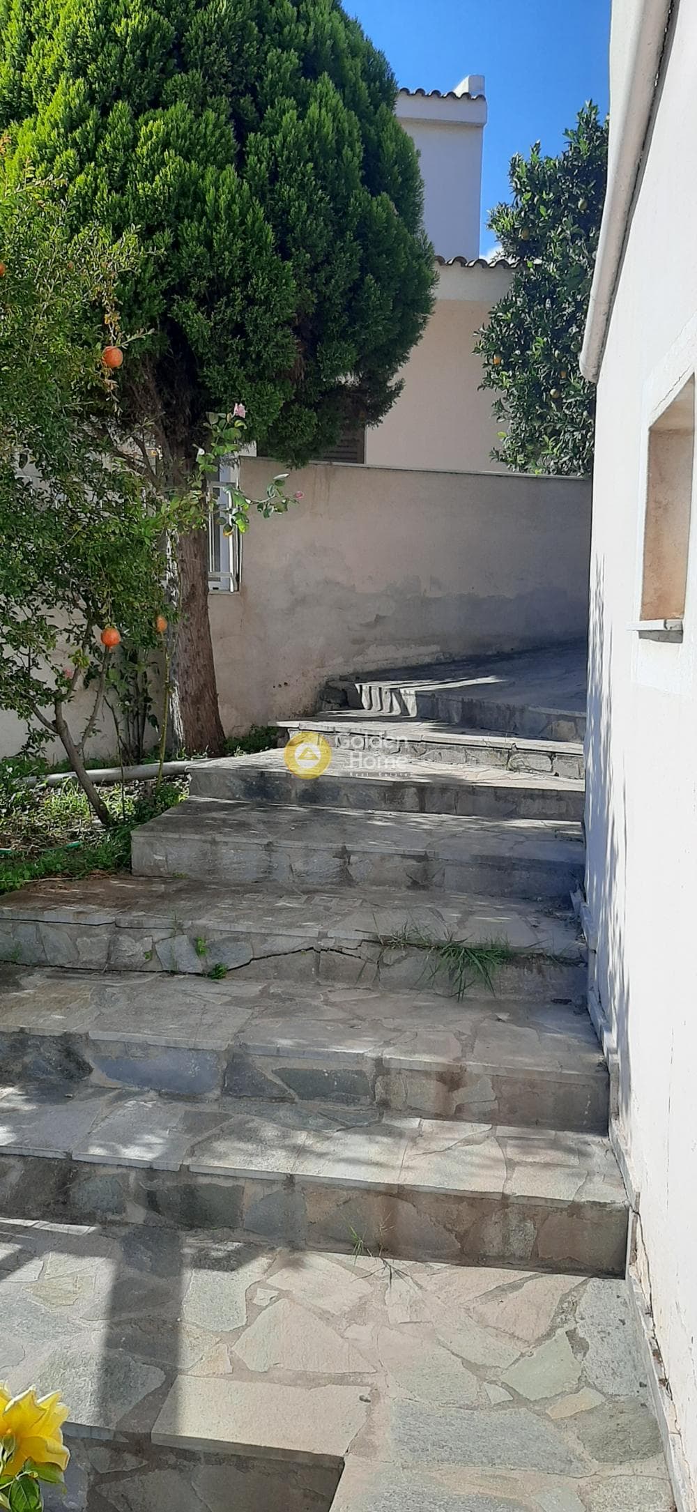 Μονοκατοικία στην Συλιβαινιώτικα, Ακράτα — Φωτογραφία 14 από 17