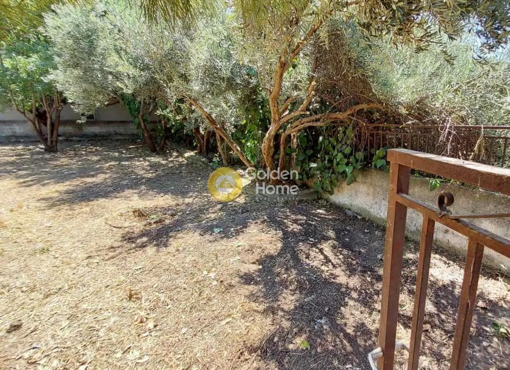 Οικόπεδο στην Πευκάκια, Αγία Παρασκευή — Φωτογραφία 1 από 4