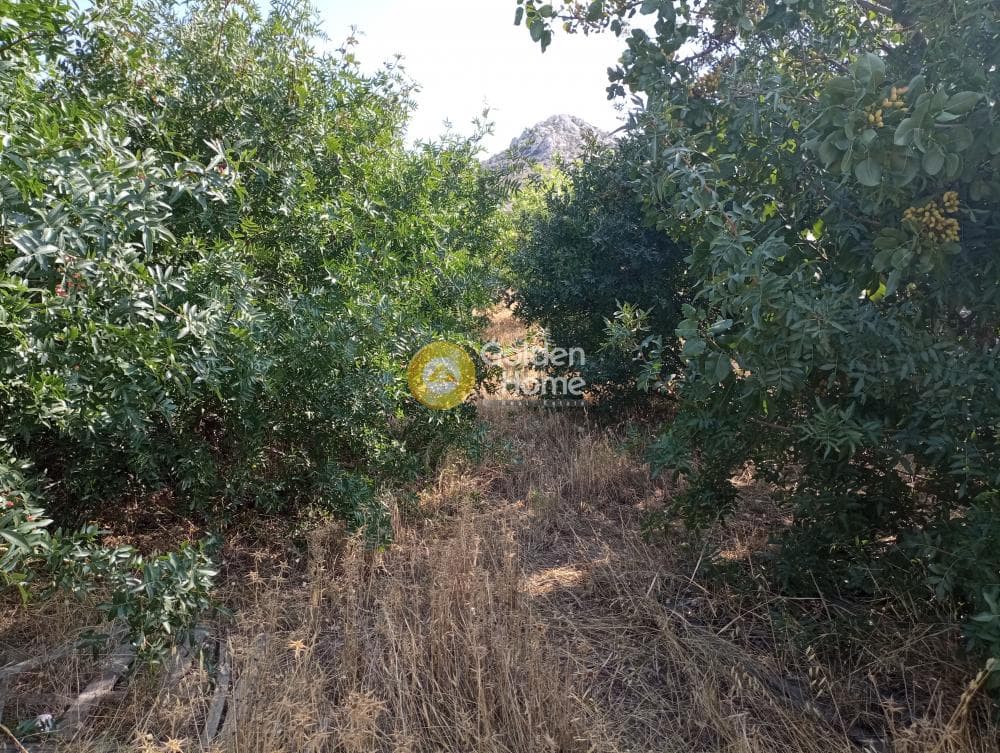 Οικόπεδο στην Άγιος Αθανάσιος, Σαλαμίνα — Φωτογραφία 2 από 2
