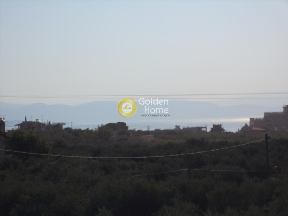 Μονοκατοικία στην Κουλούρα, Αίγιο — Φωτογραφία 10 από 12