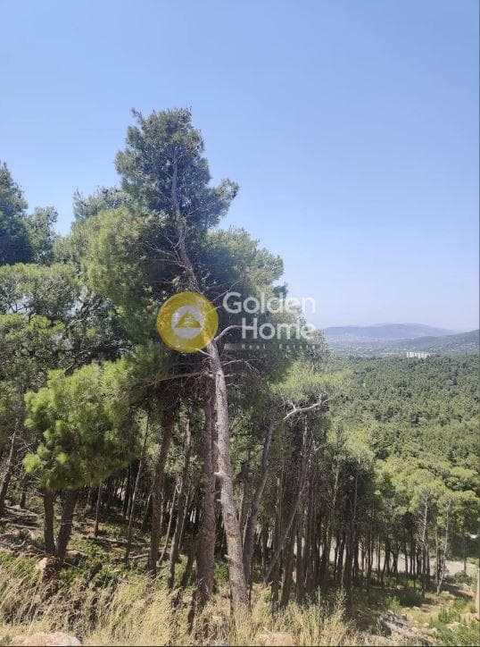 Οικόπεδο στην Μεγάλα Σχοινία Α, Αχαρνές — Φωτογραφία 3 από 5