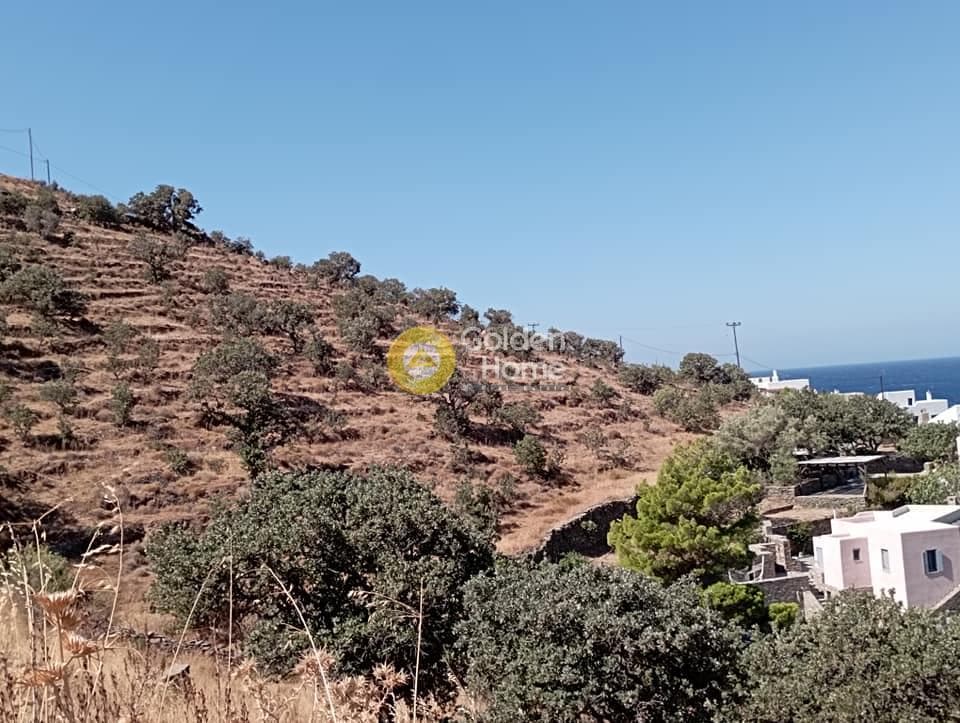 Αγροτεμάχιο στην Λιγιά, Κέα — Φωτογραφία 6 από 13