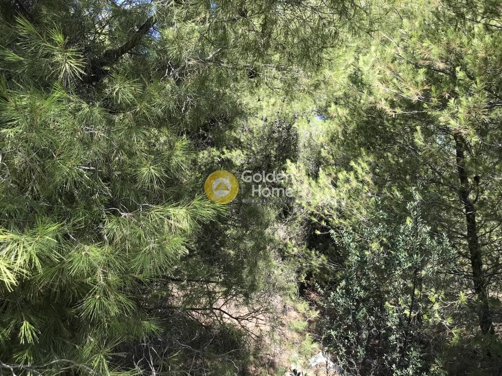 Parcel in Neapoli, Spata — Photo 6 of 33