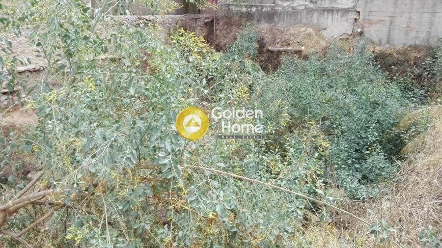 Οικόπεδο στην Σελήνια, Σαλαμίνα — Φωτογραφία 2 από 2