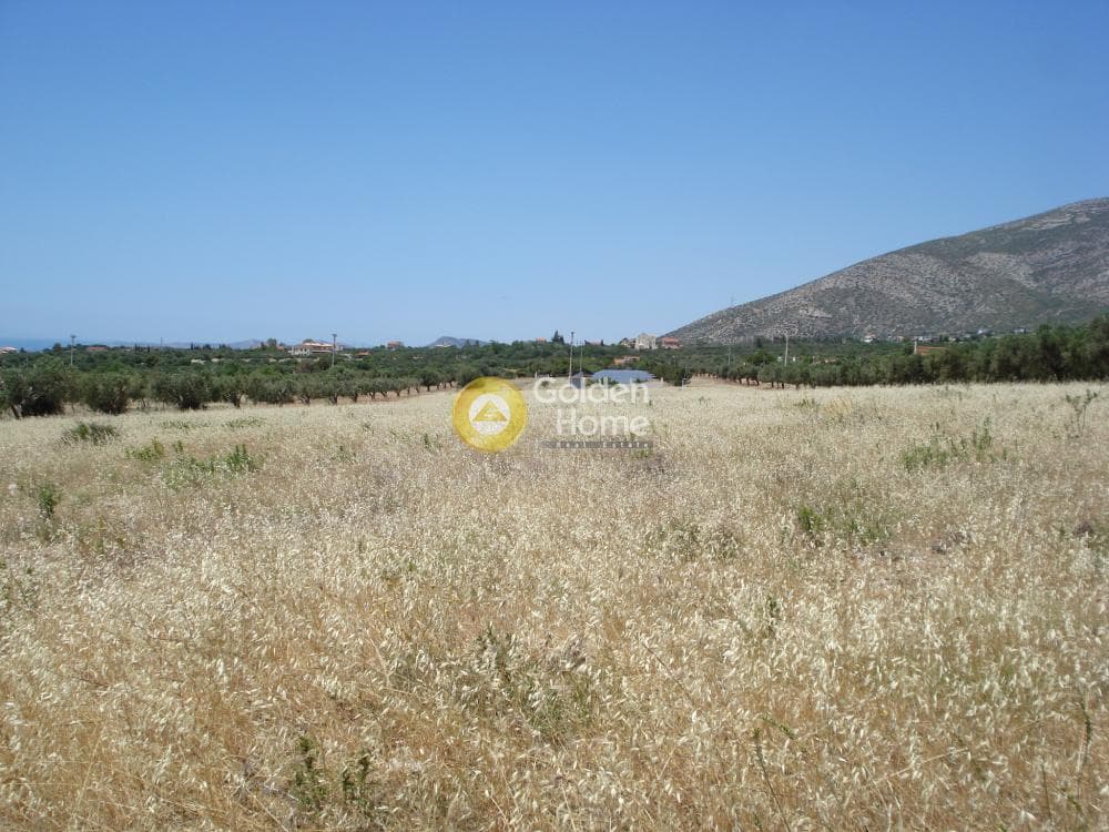 Parcel in Kalivia, Kalivia Thorikou — Photo 2 of 10