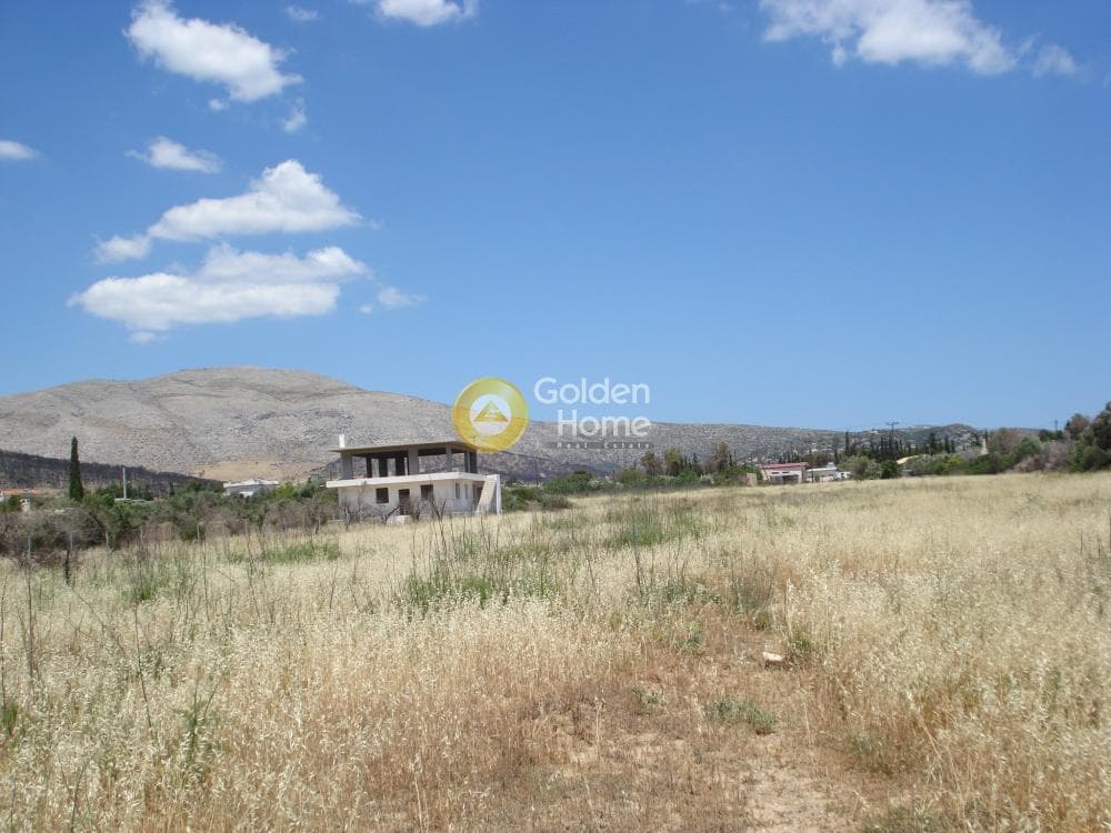 Parcel in Kalivia, Kalivia Thorikou — Photo 10 of 10