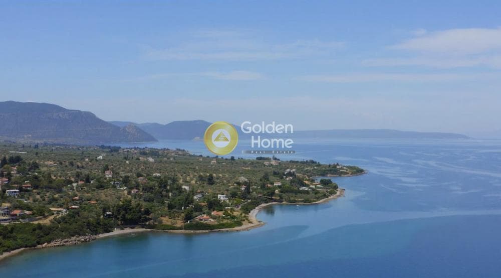 Μονοκατοικία στην Πλάκα Δήλεσι, Οινόφυτα — Φωτογραφία 1 από 22
