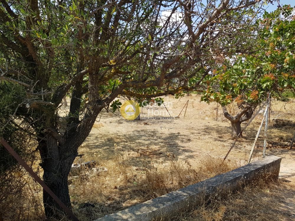 Αγροτεμάχιο στην Κεφλαίικα, Καλύβια Θορικού — Φωτογραφία 7 από 9
