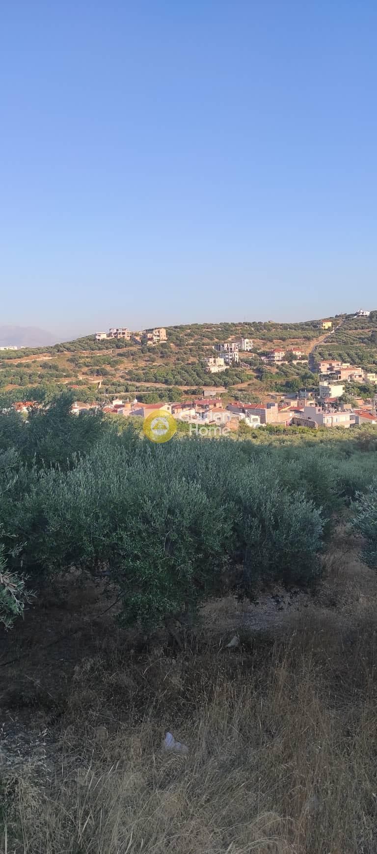 Οικόπεδο στην Κάτω Αρχάνες, Αρχάνες — Φωτογραφία 3 από 15