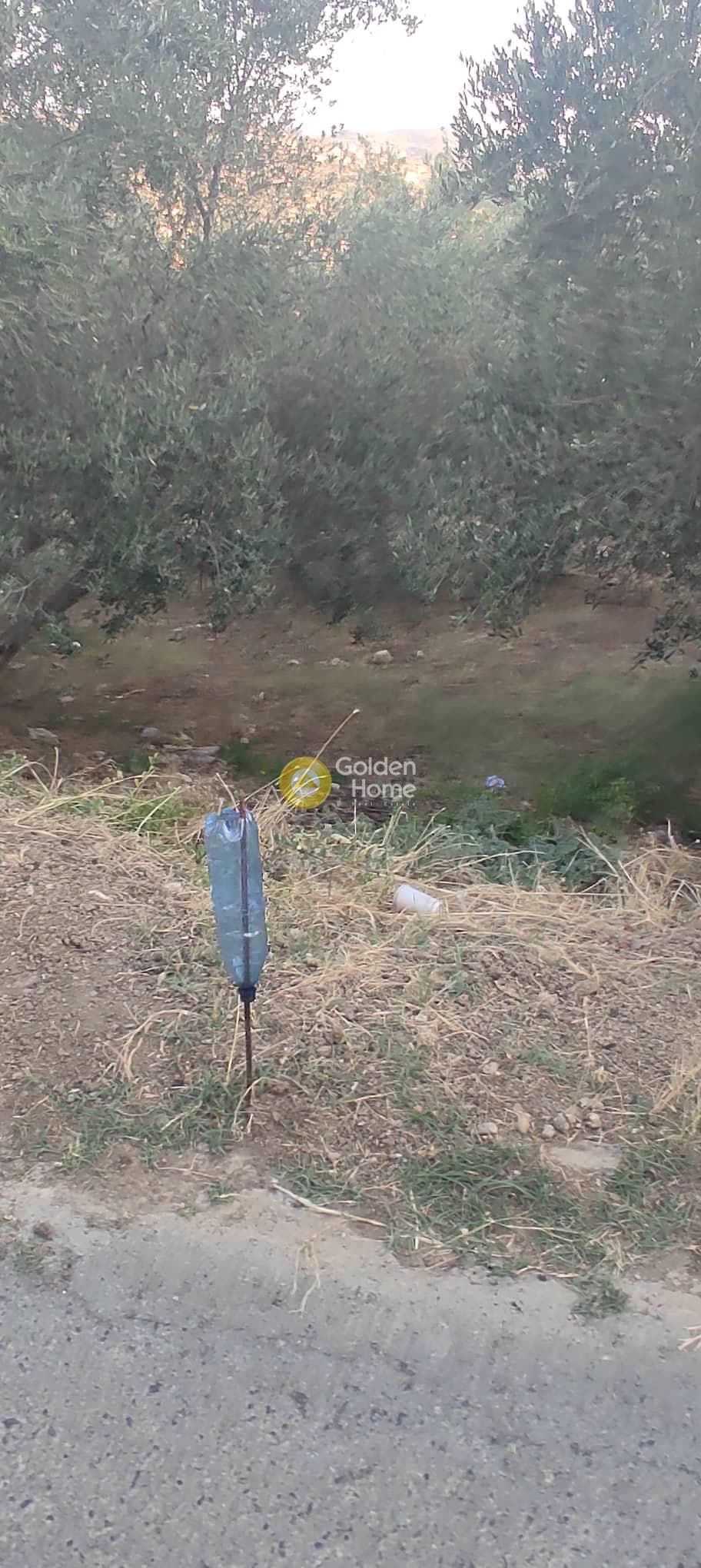 Οικόπεδο στην Κάτω Αρχάνες, Αρχάνες — Φωτογραφία 9 από 15