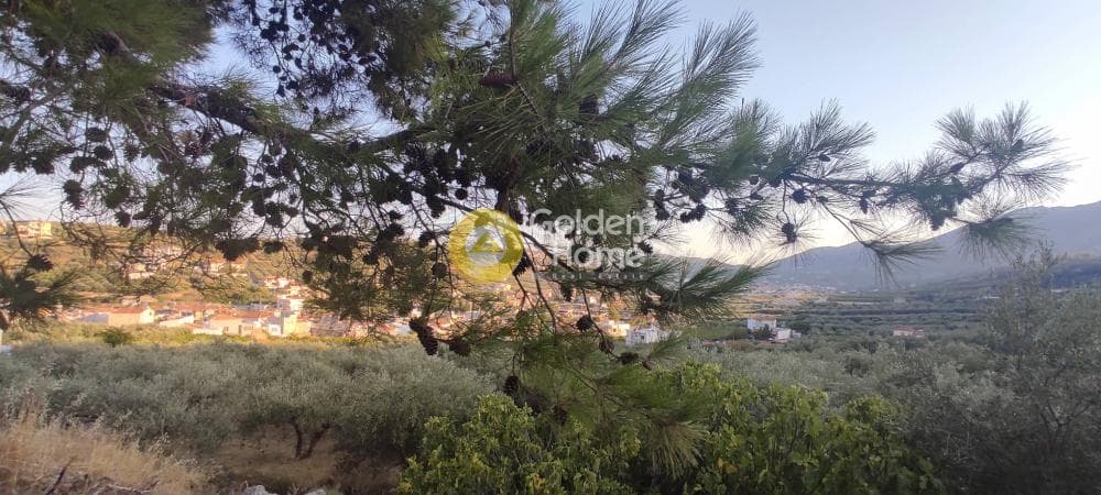 Οικόπεδο στην Κάτω Αρχάνες, Αρχάνες — Φωτογραφία 12 από 15