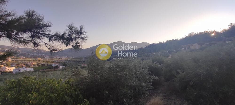 Οικόπεδο στην Κάτω Αρχάνες, Αρχάνες — Φωτογραφία 1 από 15
