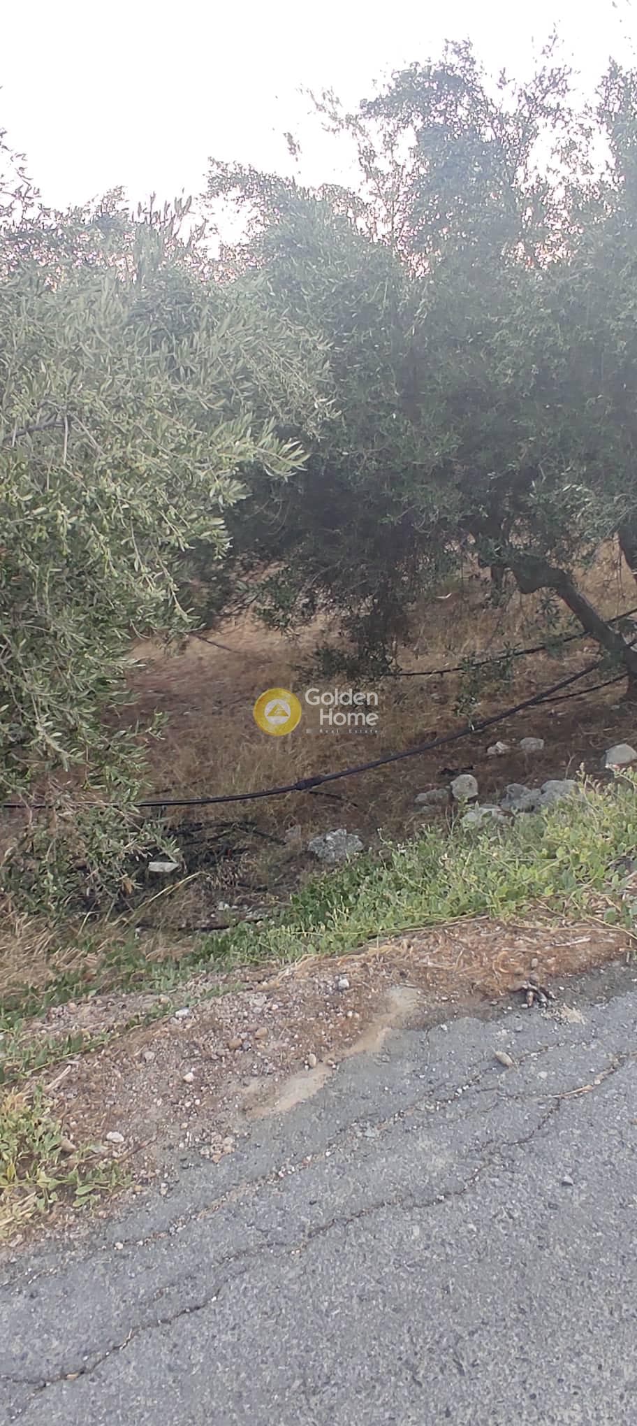Οικόπεδο στην Κάτω Αρχάνες, Αρχάνες — Φωτογραφία 11 από 15