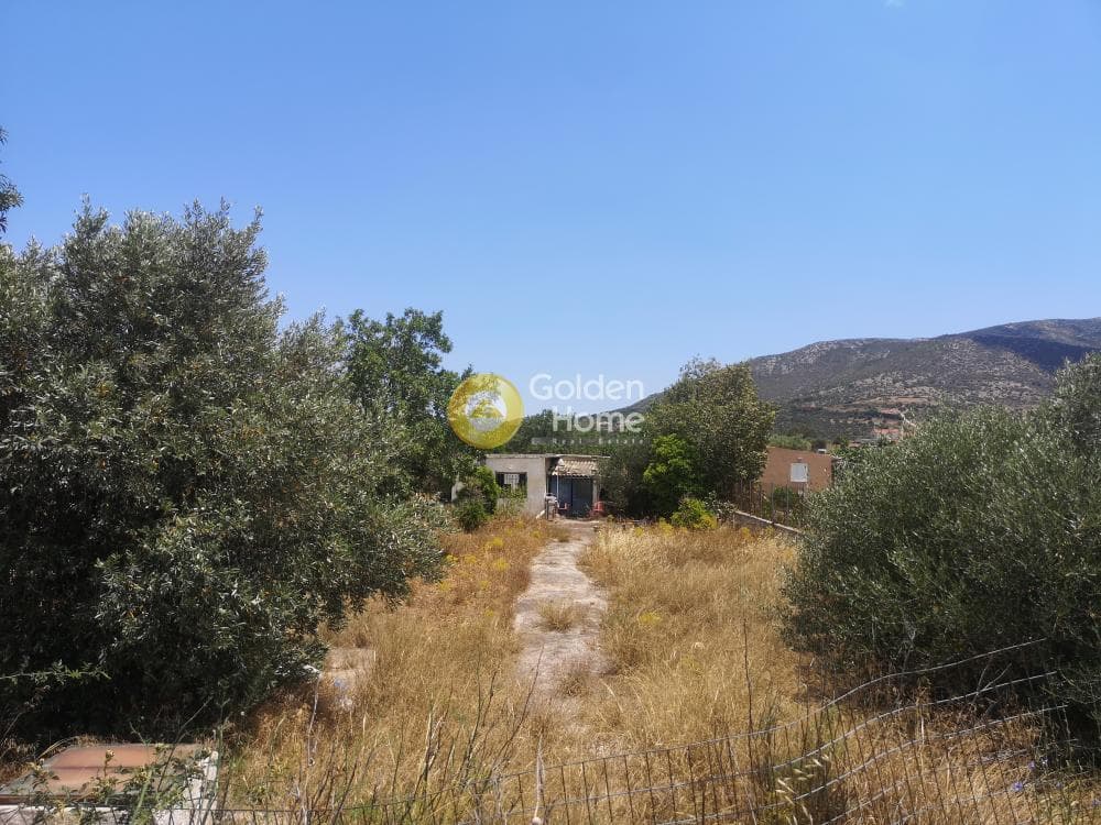 Οικόπεδο στην Κεφλαίικα, Καλύβια Θορικού — Φωτογραφία 1 από 4