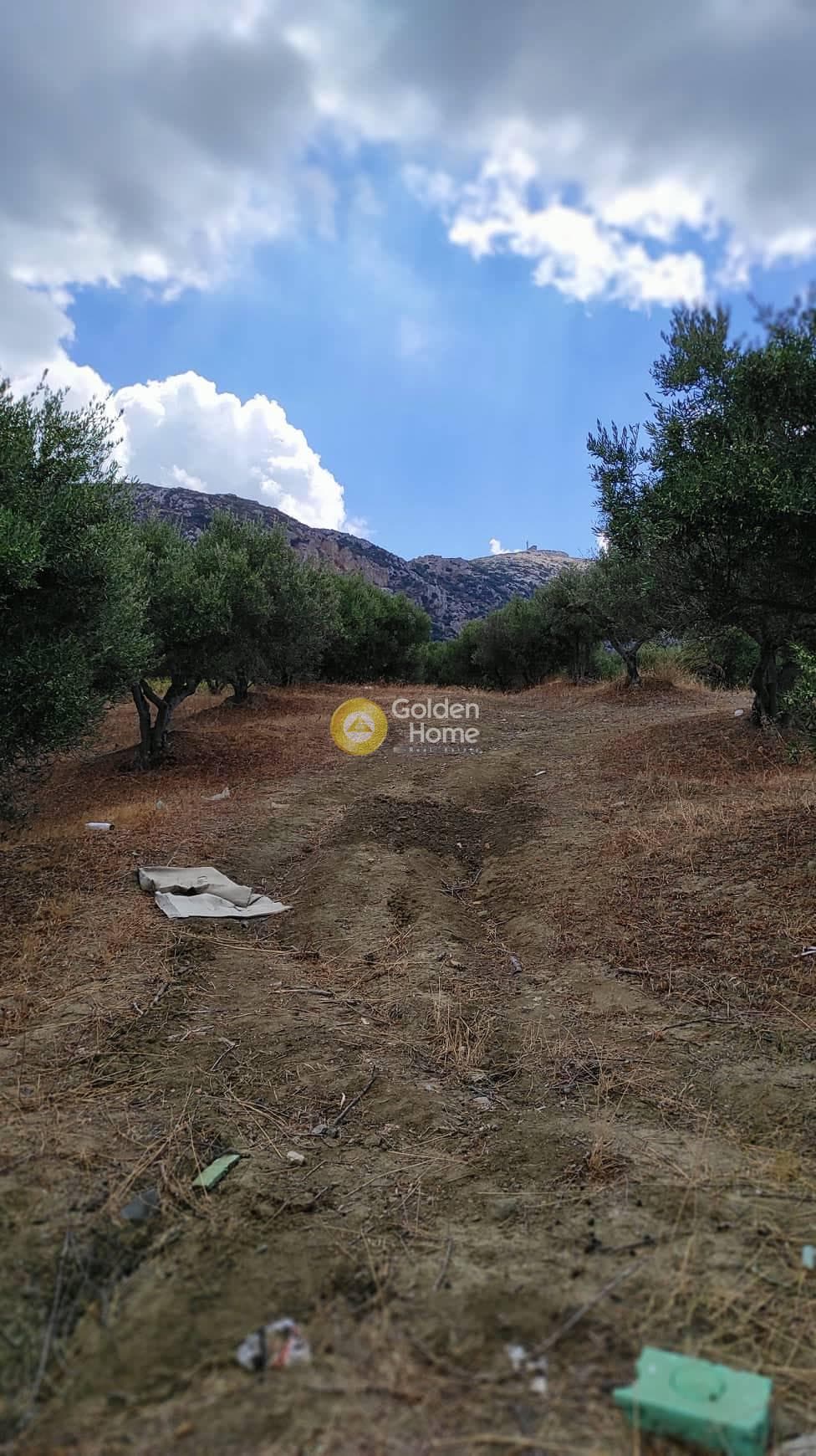 Οικόπεδο στην Άγιος Βλάσιος, Αρχάνες — Φωτογραφία 5 από 10