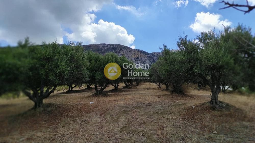 Οικόπεδο στην Άγιος Βλάσιος, Αρχάνες — Φωτογραφία 6 από 10