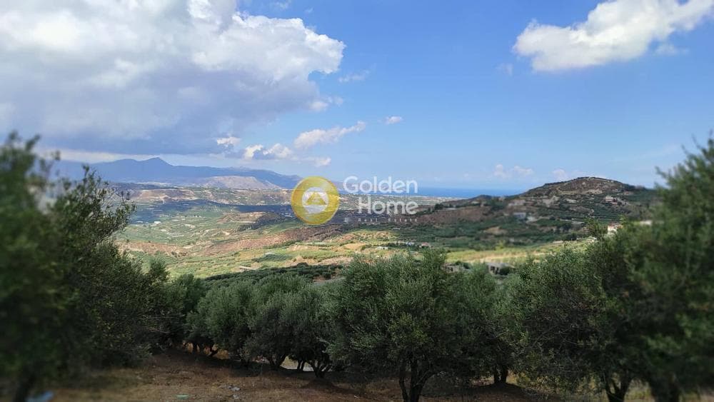 Οικόπεδο στην Άγιος Βλάσιος, Αρχάνες — Φωτογραφία 7 από 10
