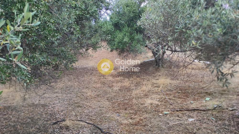 Οικόπεδο στην Άγιος Βλάσιος, Αρχάνες — Φωτογραφία 9 από 10