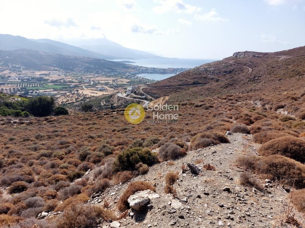 Αγροτεμάχιο στην Γαύριο, Άνδρος — Φωτογραφία 1 από 2
