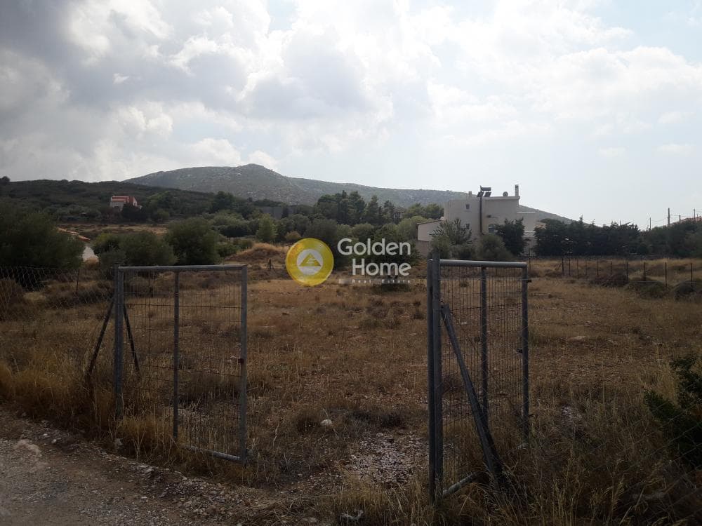 Αγροτεμάχιο στην Κέντρο, Καλύβια Θορικού — Φωτογραφία 3 από 3