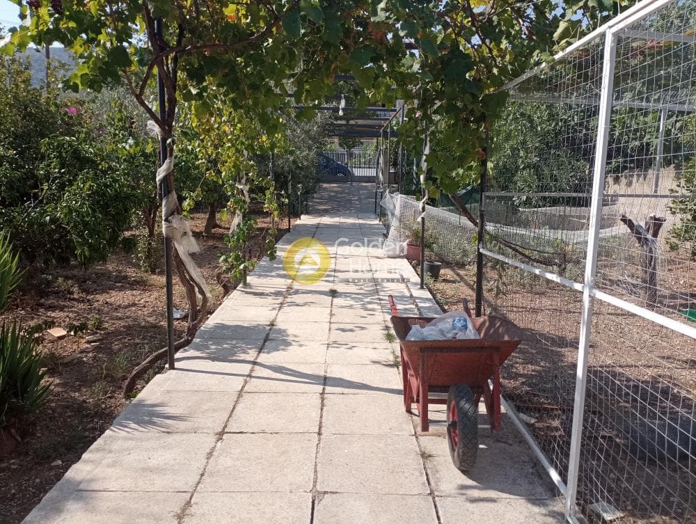 Building Plot in Aiantio, Salamina — Photo 3 of 3