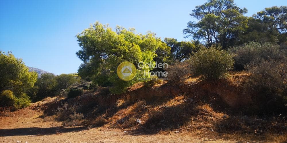 Parcel in Agios Nikolaos, Anavissos — Photo 4 of 5