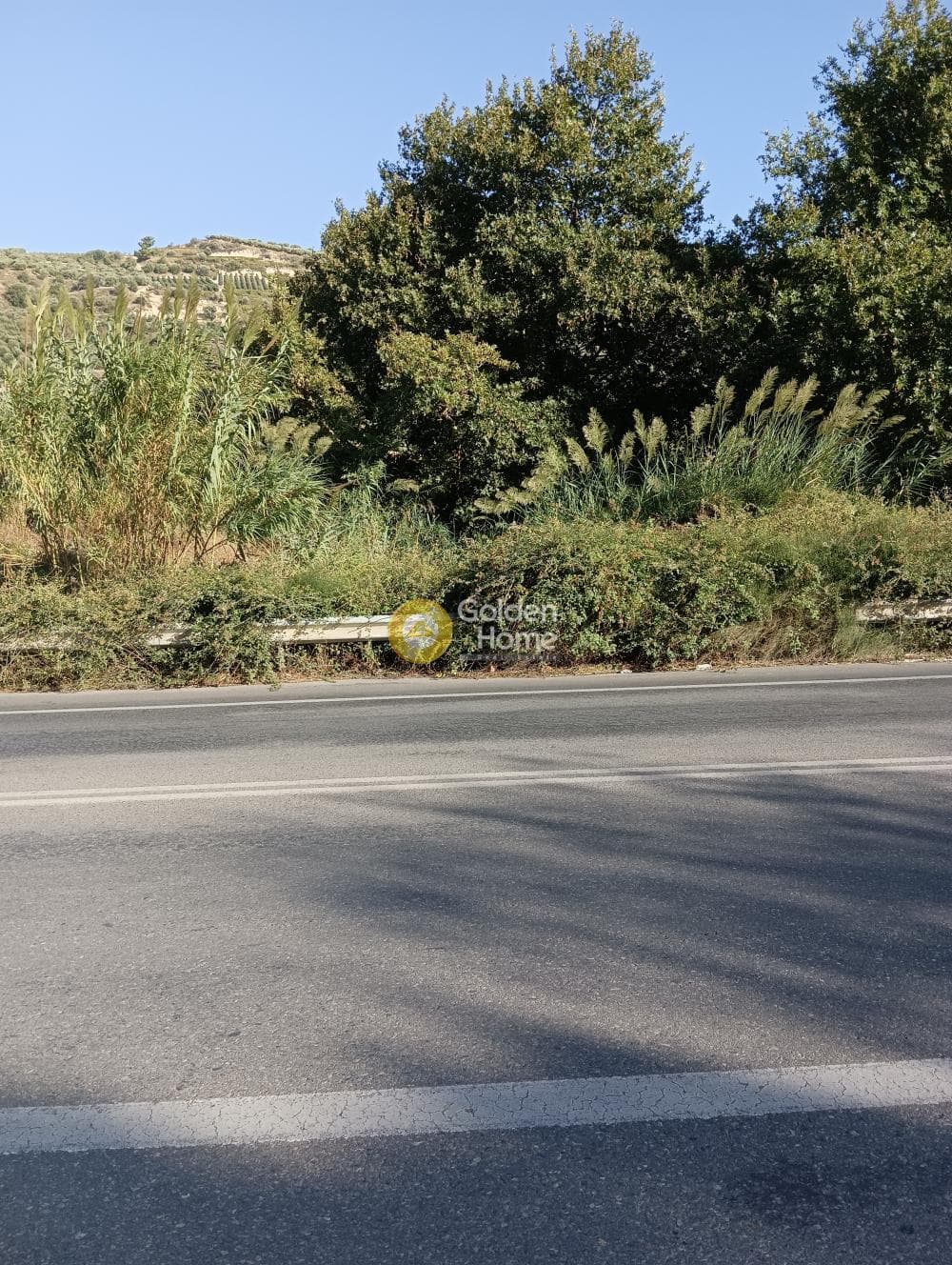 Οικόπεδο στην Σταυράκια, Τετραχώρι — Φωτογραφία 7 από 7