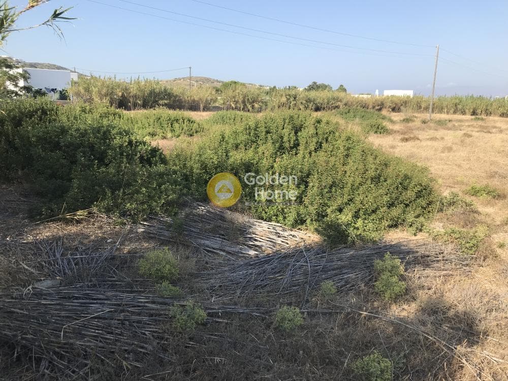 Αγροτεμάχιο στην Γλυφάδες, Πάρος — Φωτογραφία 1 από 4