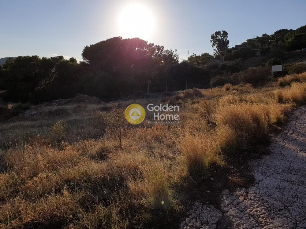 Parcel in Agia Marina, Koropi — Photo 2 of 4