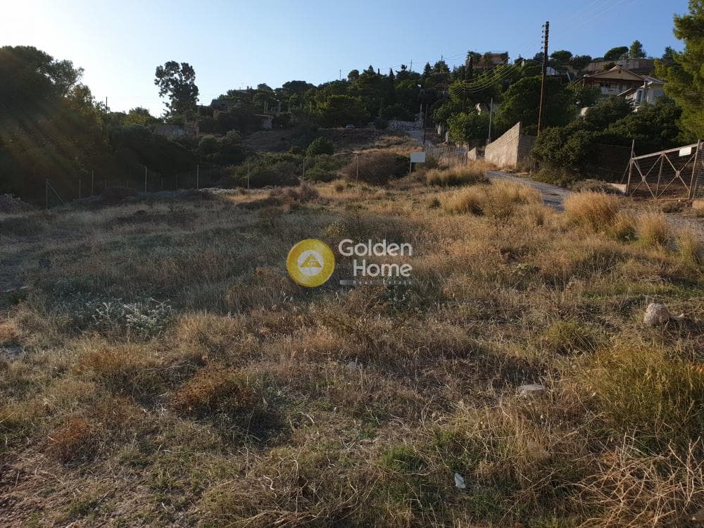 Parcel in Agia Marina, Koropi — Photo 3 of 4