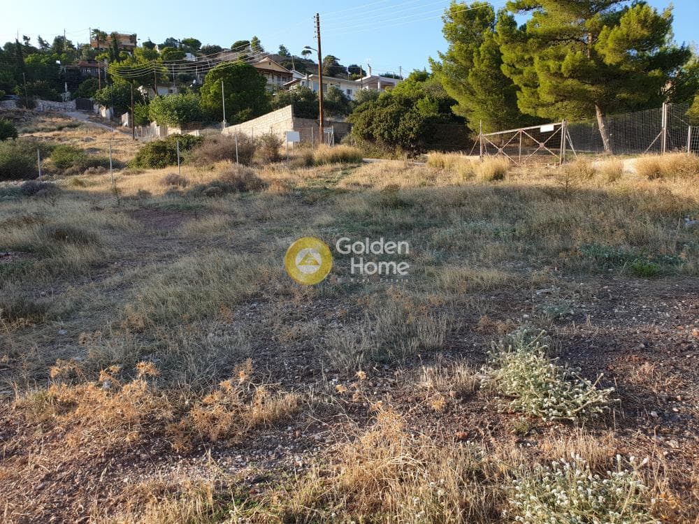 Parcel in Agia Marina, Koropi — Photo 4 of 4