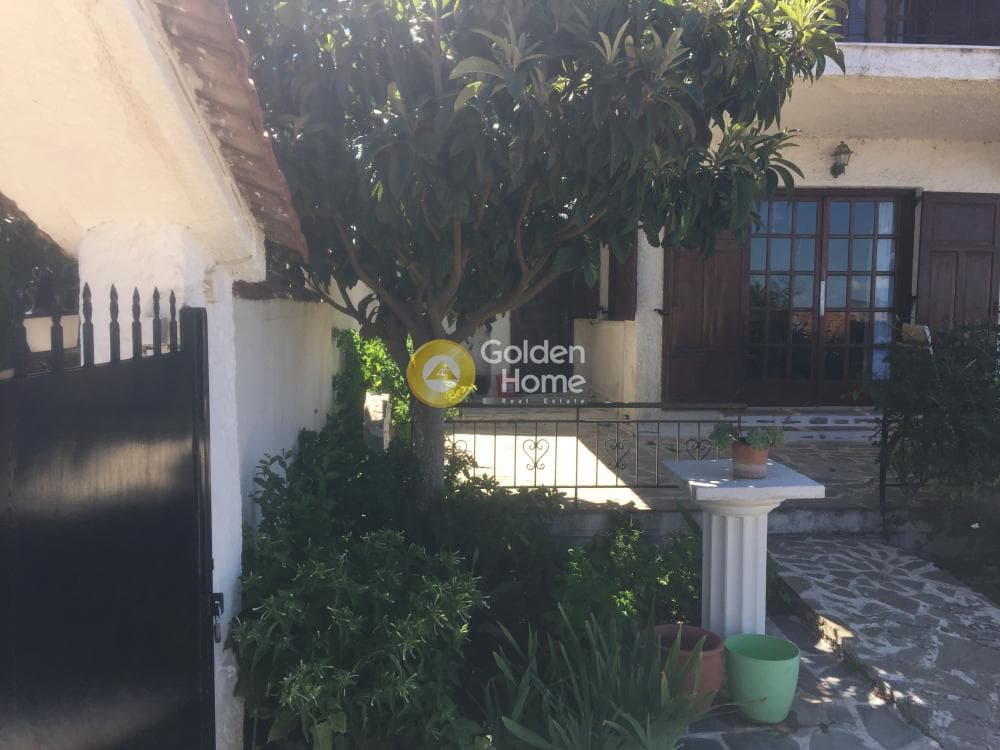 Μονοκατοικία στην Πλάκα Δήλεσι, Οινόφυτα — Φωτογραφία 16 από 31