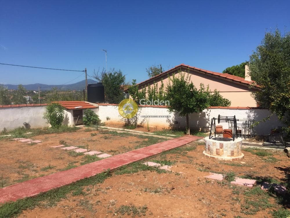 Μονοκατοικία στην Πλάκα Δήλεσι, Οινόφυτα — Φωτογραφία 7 από 31